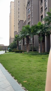 Yoga Pants Women Casual Wide Leg Loose Straight Slimming Drape Pants Running Sports Fitness Pants