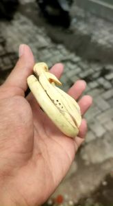 Gelang Pria Akar Bahar Putih Original Ukir Kujang