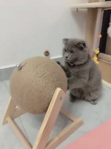 LovinLand Cat Scratching Ball Toy Kitten Sisal Rope Ball Board Grinding Paws Toy Cats Scratcher Wear-resistant Pet Furniture Supplies