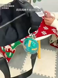 K6828 Kura-kura Ramal Nasib Bertuah (1 keping) / K6828 好运占卜龟 (1个) / K6828 Lucky Fortune Telling Turtle (1 piece)