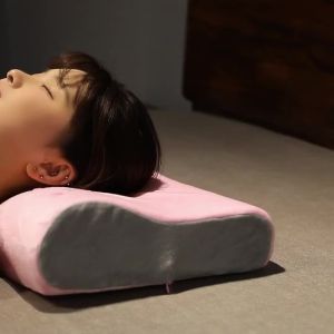 Memory foam pillow with slow rebound to protect the neck and prevent deformation during sleep Pillow core for single adult student nap in summer dormitory