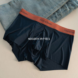 7A Antibacterial Ice Silk Mens Underwear Thin Breathable Shorts Briefs for Summer Teenage Boys mid Waist Nylon Quick Dry Solid Color