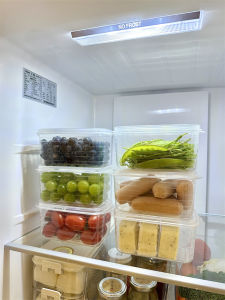 Portable Transparent Cover Sealed Meat Preservation Box Fruit Portioning Refrigerator Storage Container Japanese Style Home Organizer