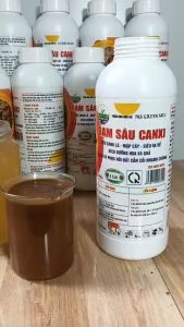 ĐẠM SÂU CANXI Phân Bón Hữu Cơ Siêu Xanh Lá Dưỡng Hoa Nuôi Trái Kích Rễ Cải Tạo Đất Tơi Xốp - 1 Lít