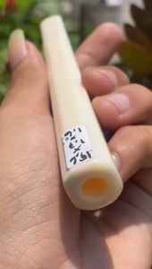 once pipa gading asli lokal gg segilapan 15cm mulus bening super
