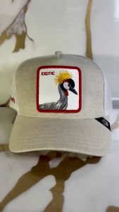 Topi Goorin Bros Suited Crane Exotic Bird: Tips Stylish