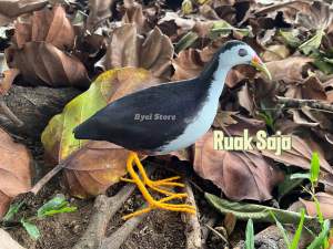 Paket Jerat Racik Ruak Ruak Kareo Sawah + Speaker Box