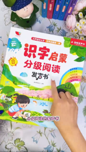[SG STOCK] Chinese Learning Sound Book | Character Recognition & Graded Reading | Preschool Mandarin Ages 0-6