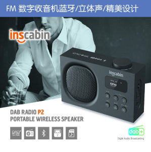 Hot Portable 360 ° Audio DAB Digital Bluetooth Radio FM Card Battery USB and Card