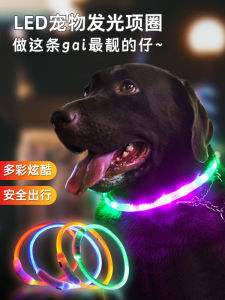 Vòng Cổ Sáng Ban Đêm Cho Chó Vòng Cổ Sáng Cho Chó Nhỏ Vòng Cổ Phát Sáng Cho Chó Vòng Cổ Cho Thú Cưng Đi Dạo Ban Đêm