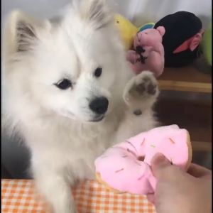 Cute & Soft Plush Toys / Plushies For Small To Medium Pets Chew Toys