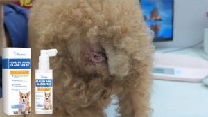 Yegbong สเปรย์กำจัดกลิ่นบริเวณทวารหนักของสุนัขส่วนผสมที่อ่อนโยนสดชื่นและสะอาดเพื่อขจัดกลิ่นการดูแลหลังการถ่ายอุจจาระYegbong dog anal gland odor spray mild ingredients fresh and clean odor after toilet care