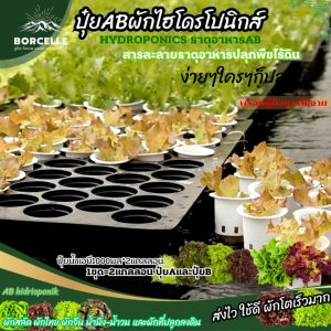 ปุ๋ย AB ไฮโดรโปนิกส์ ใหม่ !!! Super-primuimโตเร็ว ขนาด 1 ลิตร 2 แกลลอน A+B แถมฟรีเมล็ด พร้อมส่ง!!