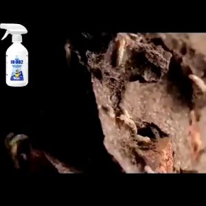 Termite Killer 450ml: An Effective Termite Control Solution