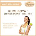 Thermolyte Plus 30 Kaplet obat diet pelangsing pembakar lemak. 