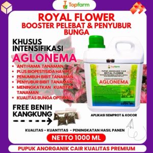 Pupuk Topfarm / Pupuk Khusus Aglonema / Pupuk Khusus Tanaman Aglonema / Pupuk Penyubur Daun Aglonema / Pupuk Aglonema Terbaik / Pupuk Aglonema Cepat Beranak / Pupuk Aglonema Untuk Daun Akar
