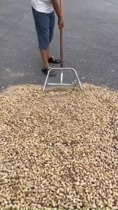 Xẻng Sàng Thép Không Gỉ Đa Năng – Phơi Khô & Sàng Lọc Hiệu Quả