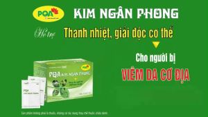 KIM NGÂN PHONG PQA Hỗ trợ thanh nhiệt giải độc giúp giảm mẩn ngứa mụn nhọt ngoài da do nóng nhiệt