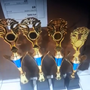 Piala FMR Lomba Juara 1234 (FMR body biru bunga raser) "costum" (bisa satuan) & free sticker
