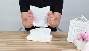 White Paper Towel Tissue Table Napkins & 4 Layer White Shuta Facial Tissue