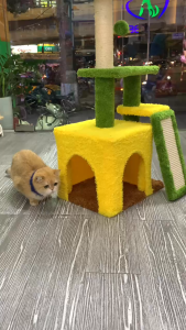 🌼 NHÀ CÂY CÀO MÓNG CHO MÈO – SIÊU DỄ THƯƠNG SIÊU BỀN MÈO NÀO CŨNG MÊ! 🐾😻