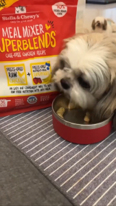 Stella & Chewys Dog SuperBlends Meal Mixer Freeze-Dried Raw Meat + Superfoods - 16oz(453g) 2 Recipe