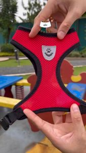 Mengenal Harness Kucing Tali Tuntun & Rompi Anjing Kecil Anti Panas