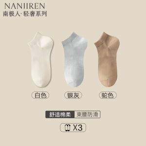 Antarctic People Zhushi Mens No-Show Cotton Socks Mid-Calf Spring Autumn New Style Winter Warm Thickened Couple Socks