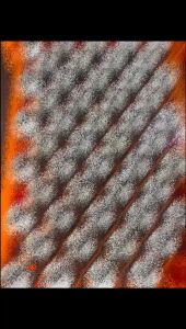 Proton Vt2 cvt gearbox solenoid (NEW/ USED PARTS )