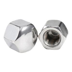 BAIRUITE | Stainless Steel Low-profile Cap Nut Hex Cap Cover Blind Hole Decorative Screw Cap
