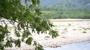 ultralight soft camping Premium Portable Waterproof Cotton Sleeping Bag tebal 180x75cm Sleeping Bag