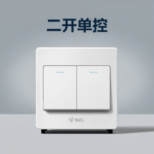 Bull | 2-Way Single Control Switch Panel White