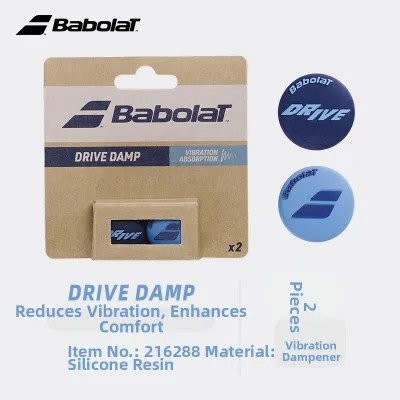 Professional Shock Absorber Vibration Dampener