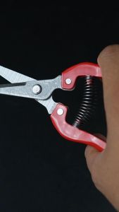 Gunting Tanaman Gunting Dahan Ranting Bunga Gunting Multifungsi Pruning Scissors - 6695