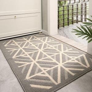 MOLORE | Dust-Resistant Wear-Resistant Dirty-Resistant Door Mat