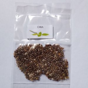 100 Seeds of Chia Binhi Pantanim