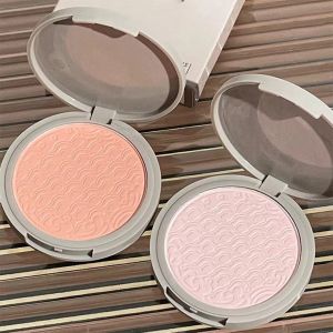 Oil Control Matte Face Powder Long Lasting Flawless Setting Powder Face Makeup