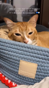 FuzzYard LIFE Rope Basket Pet Bed - Premium Bedding for Dogs & Cats (5 Colors)