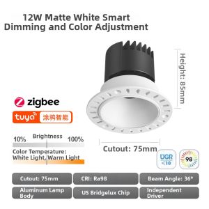 HUOQI | Frameless Inground LED Downlight Spectrum