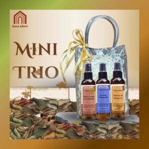 Kasa Adore | Mini Trio| Intense formula | Home Room Car & Linen Fragrance Freshener Spray 100ml