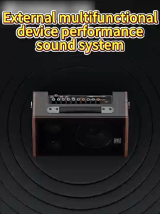 MINSINE Multi-Purpose Audio Amplifier with Bluetooth 5.0 100W Multi-jack Dynamic Headphone Amplifier and Microphone Priority - New
