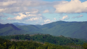 [Nikon Z] Tamron 18-300mm F3.5-6.3 Di III-A VC VXD Lens | Tamron Singapore Warranty