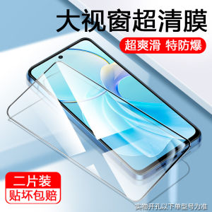 Vivo Y200 plus Privacy Full Screen Coverage Tempered Glass Screen Protector Anti Blue Light Sticker for Vivo Brand High Definition