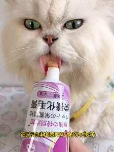 120g Hairball Gel for Cat Hairball Remover Enhances Immunity Beauty Hair Cat Supplement
