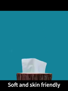 Buy 20 Take 20 Tissue Facial Tissue 4-Ply toilet paper Tree care Organic green tea Facial Tissue