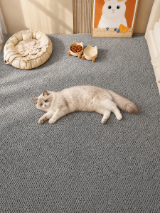 xy | Customizable Sisal-Like Thick Cat Mat