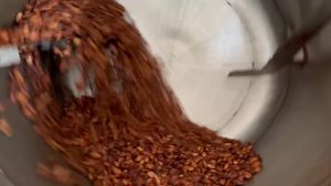 คาเคานิบส์ โกโก้นิบส์ บรรจุ 500กรัม คีโตทานได้ คุมหิว หลับลึก บำรุงสมอง ช่วยชาวสวน (cacao nibs) พรีเมี่ยม