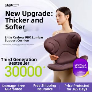 D.BOSHI | Office Back Support Cushion