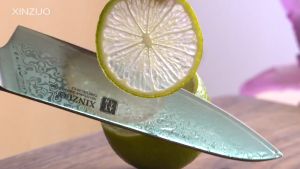 Pisau Santoku XINZUO 5.5 Inch 67 Lapis Baja Damaskus 10Cr15CoMoV Gagang Kayu Mawar Jepang