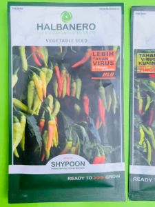 Benih Cabe Cabai Rawit SHYPOON isi 10gr dari Halbanero